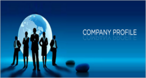 Company Profile of Businesses: The Key to an Engaging Online Presence