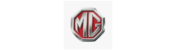 Brand Logo 10